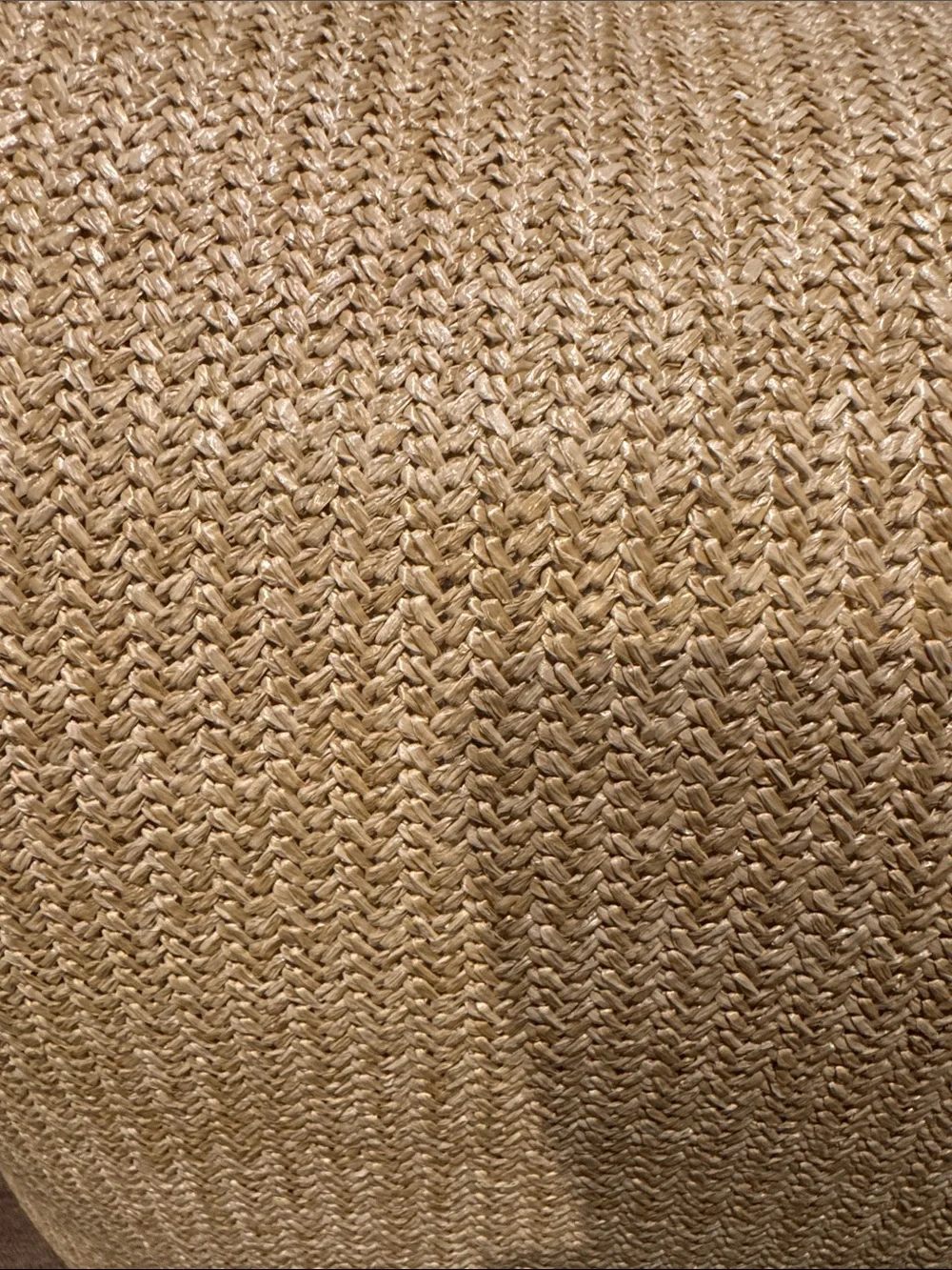 NWT POTTERY BARN Natural Fiber Pillows
